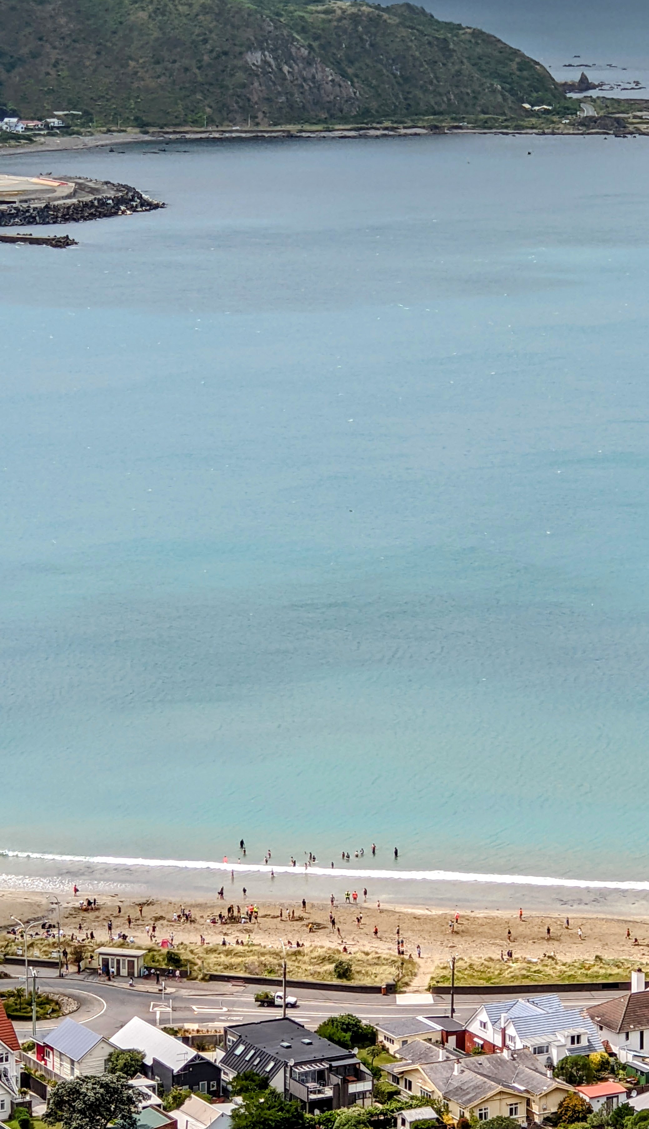 View of Lyall Bay beach from high on a surrounding hill