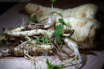 Panais (pastinaca sativa), version cultivée et version sauvage