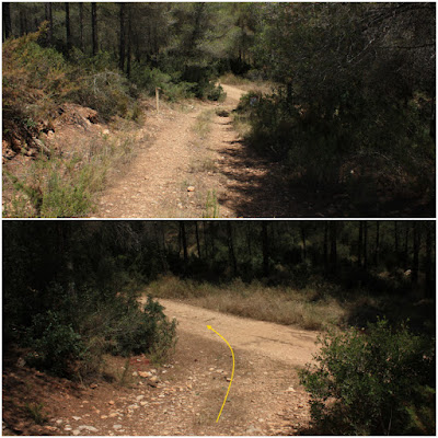 SANT JAUME DELS DOMENYS-PUIG DE LA TIULA, camí al Fondo del Canyamàs i Torrent de Llobets