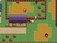 Pokemon Blossom of the Soul Screenshot 02