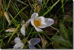 090405 011