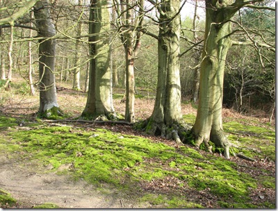 20090411 BHW 057