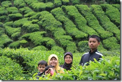 Cameron Highland 18.3.2011 208