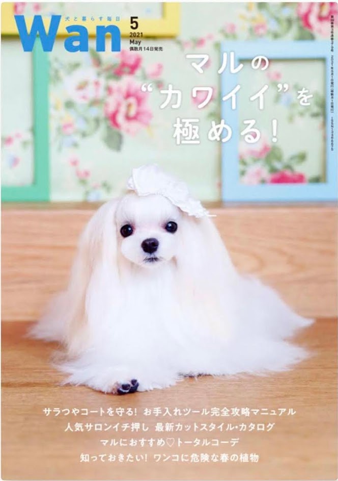 Wan May 2021