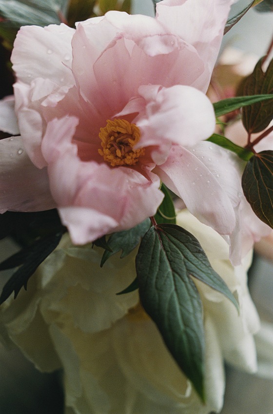 8a