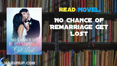 Read No Chance of Remarriage: Get Lost Novel Full