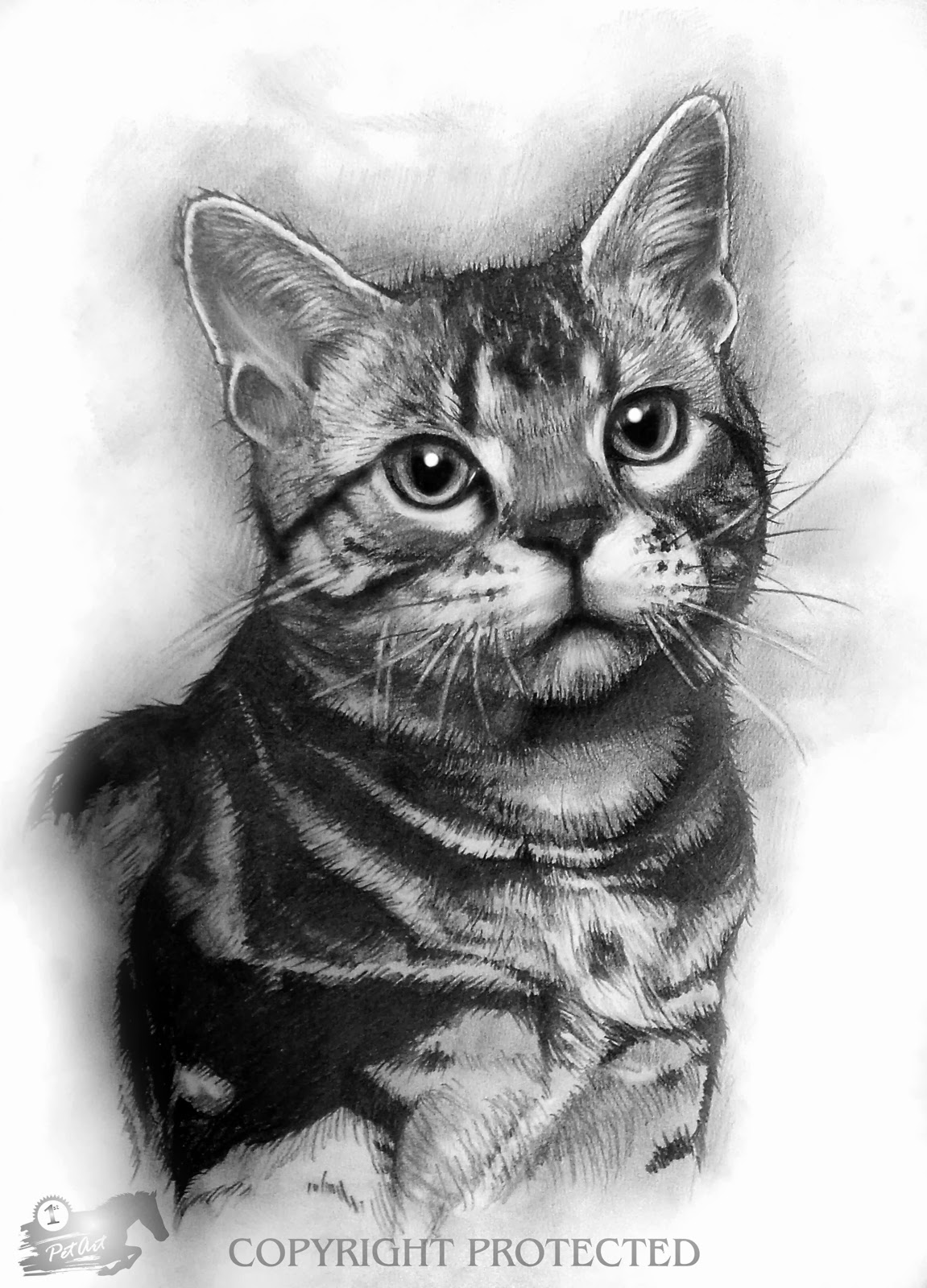 Realistic Animal Drawings  November 2013