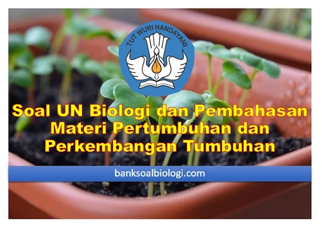 Soal UN Biologi dan Pembahasannya, Materi Pertumbuhan dan Perkembangan