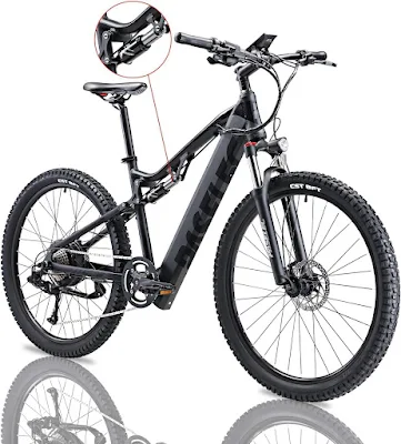 Paselec Electric Bike