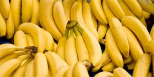 21 Manfaat Kulit Pisang Ambon Untuk Kesehatan dan Teknologi