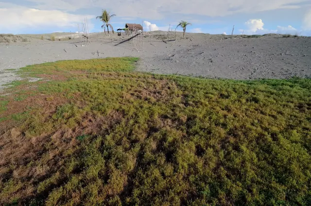 One House on the Hill Culili Point Sand Dunes Paoay Ilocos Norte Philippines