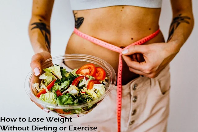 How to Lose Weight Without Dieting or Exercise
