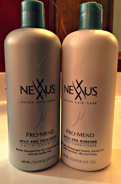 Blog Review for Nexxus Pro Mend 