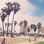 Venice Beach Park (img )