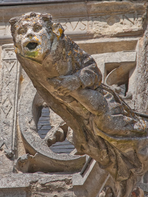 jiemve, La Ferté-Bernard, Eglise, N-D des Marais, gargouille