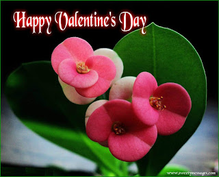 happy valentine day images for facebook