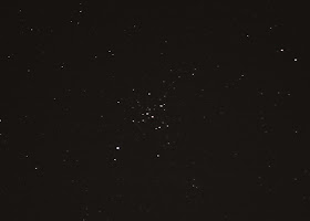 Open star cluster in canis major M41