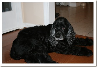 IMG_3368 IMG_3368