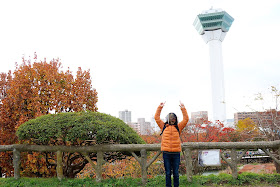 北海道 函館ツアー 五稜郭公園 五稜郭タワー