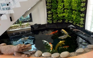 Desain kolam koi dalam ruangan rumah dibawah tangga rumah alam indah asri project