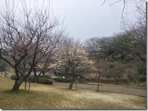 clip_image020
