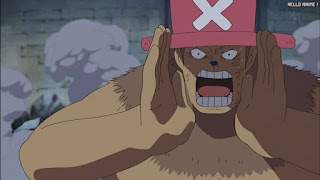 ワンピースアニメ スリラーバーク編 369話 チョッパー Tony Tony Chopper | ONE PIECE Episode 369 Thriller Bark