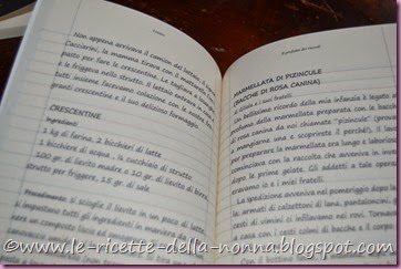 Il profumo dei ricordi. Loiano (6)