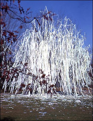 Toilet Paper Pranks