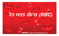 RBC-WBC-Blood-Cells-in-hindi-रक्त-कोशिकाएं, sharir ke vajan ka 10 pratishat bhar sirf khoon ka hota hai. jo sharir mein oopar se neeche tak sharir aur poshan le jane ka kam karata hai. RBC blood cells (lal rakt koshika) khoon ka bahut mahatvaporn hissa hoti hai, jiki kami se khoon ek ganda pani ban jata hai aur poshan le jane ka kam badhit ho jata hai. manushy ke sharir mein lagbhag panch litr khoon maujood rahta hai. khoon mein lal rakt koshikaen (RBC Cells) aur saphed rakt koshikaen (WBC cells) maujood rahte hain,रक्त-कोशिकाएं-blood-cells, RBC और WBC क्या होती है What are RBC and WBC in hindi, RBC और WBC कैसे अपना कार्य करती है How do RBC and WBC work? in hindi, Blood Cells रक्त कोशिकाएं की कमी कैसे दूर करें Blood Cells How to remove deficiency of blood cells in hindi, red blood cells normal range, wbc normal range, wbc normal range male, rbc normal range female, rbc blood test high, rbc count high is good or bad, What disease is high RBC?, What is the disadvantage of high RBC count?, What disease is high RBC?, RBC Count High, Good, or Bad? Symptoms, Causes, and Prevention, What causes a high RBC count? in hindi, What is the normal range for an RBC count?, What is considered a high red blood cell count? in hindi, How to decrease red blood cells quickly? in hindi, red blood cells jyada ho to kya hota hai, hemoglobin blood cells jyada ho to kya hota hai, hemoglobin kya hota hai, hemoglobin kitna hona chahiye, hemoglobin normal range, hemoglobin rich food, Which Foods You Should Eat To Increase Hemoglobin Count?,  How to increase hemoglobin Home remedies,  How to Raise Your Hemoglobin Count, how to increase hemoglobin in a week, how to increase hemoglobin in woman, how to increase hemoglobin naturally, sakshambano, sakshambano ka uddeshya, latest viral post of sakshambano website, sakshambano pdf hindi, red blood cellsl photo, red blood cellsl photo image, red blood cellsl photo jpeg, red blood cellsl photo pdf in hindi,