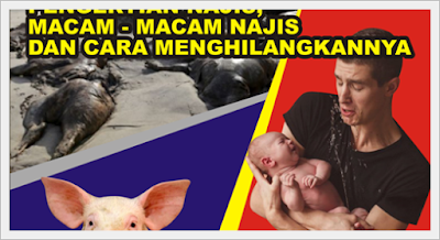 http://www.umatnabi.com/2016/10/pengertian-dan-macam-macam-najis.html