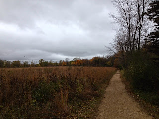 Nature Study: Field in Autumn