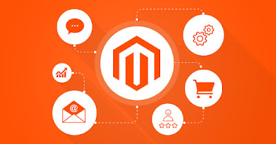 Magento Vs Wordpress: Which Is Best For Your Project?