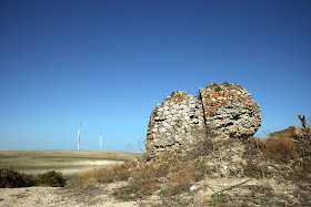 Cerro de La Torre. Restos