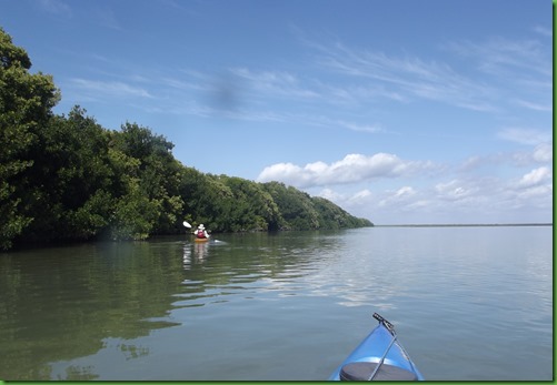 PM Florida Bay (109)