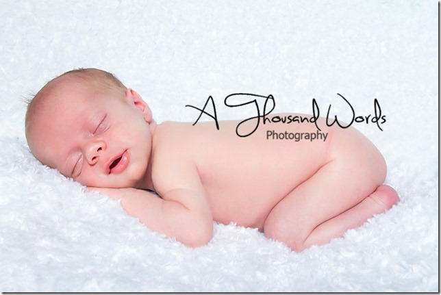 atwPhotography-3
