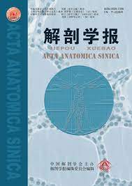 Acta Anatomica Sinica