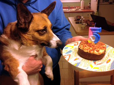 Birthday Cake  Dogs on The Dog Mom  Bacon Peanut Butter Doggie Birthday Cake