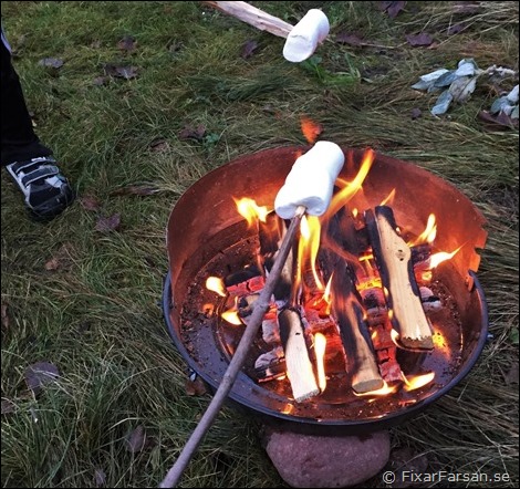 Grilla-Marshmallows