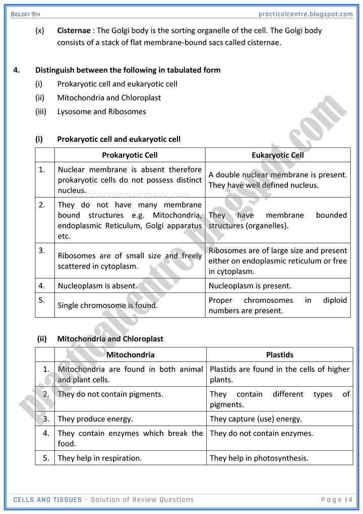 cells-and-tissues-review-question-answers-biology-9th-notes