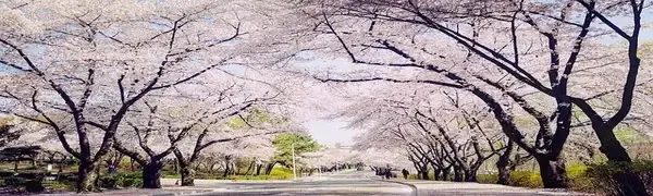 대구공항