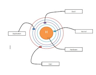 Shell Kernel Relational ship