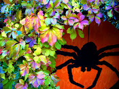 Click on the spider.Check out my Halloween Blog. (Spooky Hollow Lane)