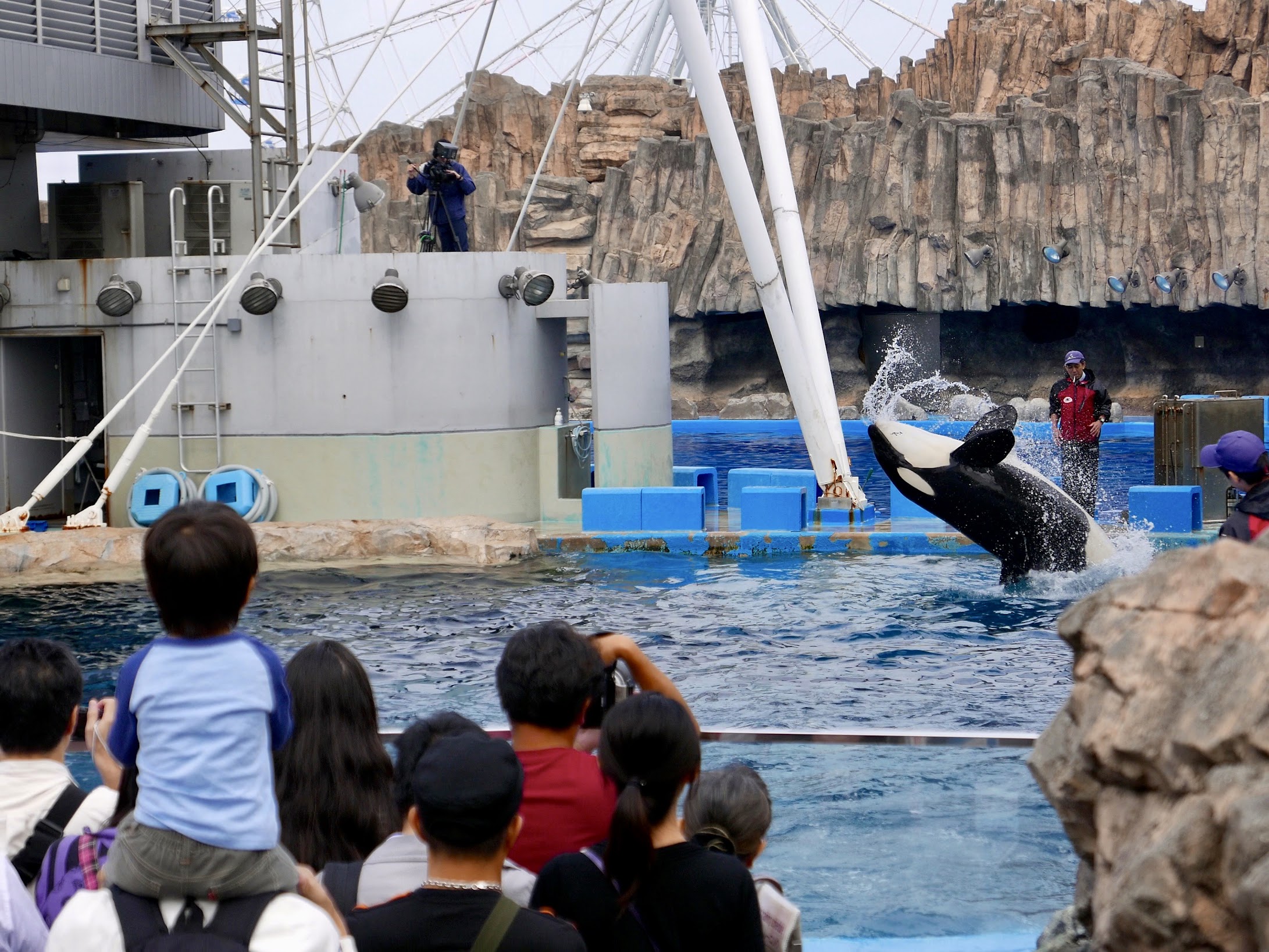 名古屋港水族館
