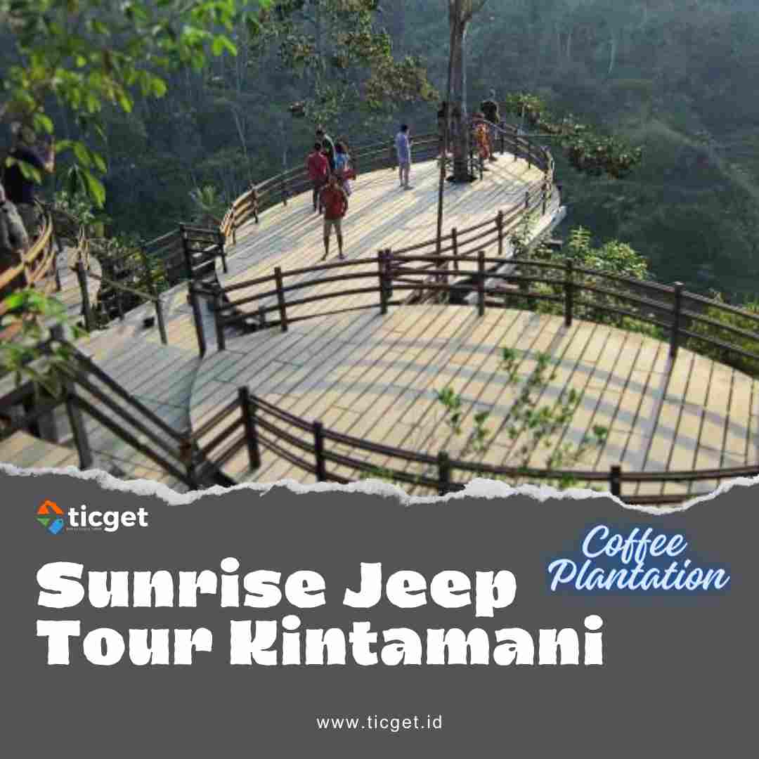 Sunrise Jeep Tour Adventure and Coffee Plantation Experience Bali, the famed Island of the Gods, is a treasure trove of natural beauty, cultural richness, and exhilarating adventures. Among the myriad of experiences it offers, the Bali sunrise jeep tour adventure and coffee plantation visit stand out as captivating ways to immerse oneself in the island's charm.  The Bali Sunrise Jeep Tour Adventure. Imagine embarking on a journey through Bali's rugged terrain as the first rays of sunlight paint the sky in a mesmerizing palette of colors. The Bali sunrise jeep tour adventure offers just that - an opportunity to witness the island's stunning landscapes in the soft morning light.  As the jeep traverses through the lush countryside and ancient villages, passengers are treated to panoramic views of verdant rice terraces, cascading waterfalls, and majestic volcanoes. The tour often includes stops at iconic landmarks such as Mount Batur, where the sight of the sun rising behind the volcanic peaks is nothing short of breathtaking.  Beyond its natural splendor, Bali is renowned for its vibrant culture and spiritual heritage. The sunrise jeep tour provides a glimpse into the island's soul through encounters with local villagers going about their morning rituals and visits to sacred temples shrouded in tranquility.  The exhilaration of riding in a 4x4 jeep through off-road tracks adds an adventurous edge to the experience. The rugged terrain and unpaved paths bring an element of thrill, making the journey not only visually captivating but also physically invigorating.  Coffee Plantation Experience and Coffee Production Process After the exhilarating jeep tour, a visit to a traditional Balinese coffee plantation offers a serene contrast, allowing visitors to delve into the island's rich coffee culture.  At the plantation, guests can witness the intricate process of coffee production, from the meticulous harvesting of ripe coffee cherries to the traditional methods of roasting and grinding the beans. The aroma of freshly ground coffee and the sight of skilled farmers tending to the crops create an immersive and aromatic experience.  The coffee plantation visit often culminates in a tasting session, where connoisseurs and novices alike can savor an array of coffee varieties, including the world-renowned Kopi Luwak, famed for its unique production process involving civet cats.  Beyond its coffee offerings, the plantation provides insights into Balinese agricultural practices and the significance of coffee in local customs and traditions. Visitors can engage with farmers, learning about the symbiotic relationship between the land, the crops, and the island's inhabitants.  The Bali sunrise jeep tour adventure and coffee plantation visit are not only about sightseeing and taste sensations, they are windows into the multifaceted allure of Bali.