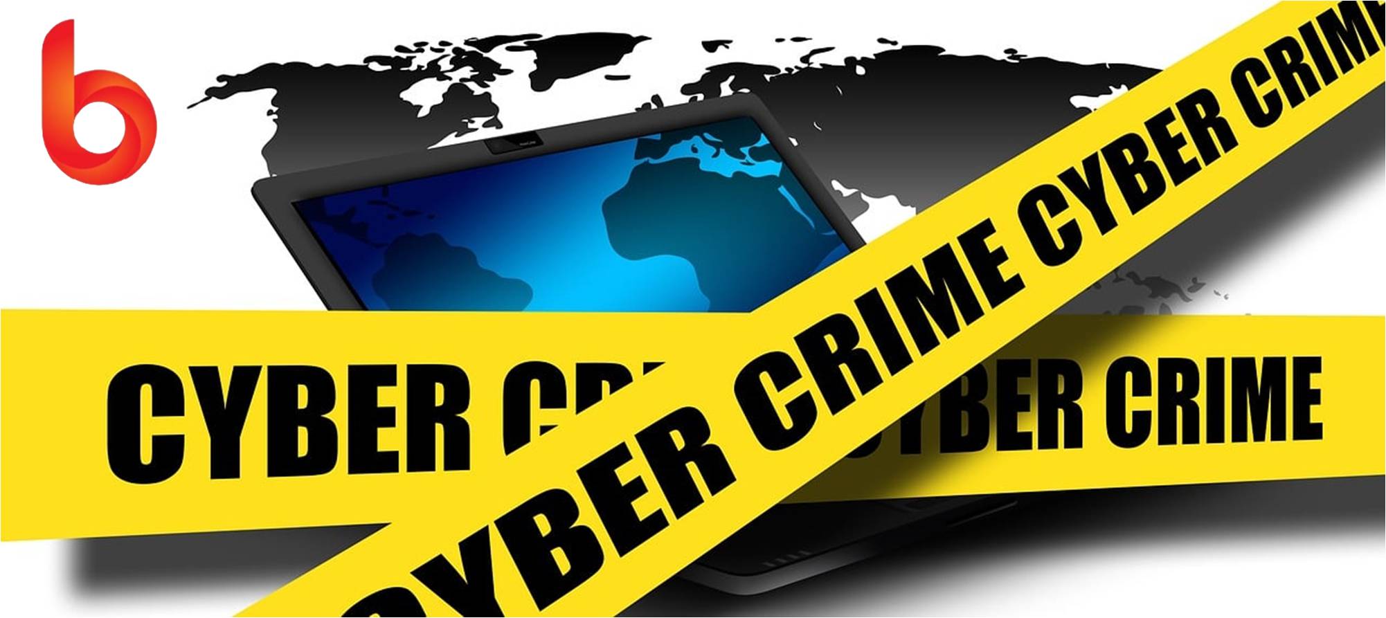 Cyber Crime and Cyber Law