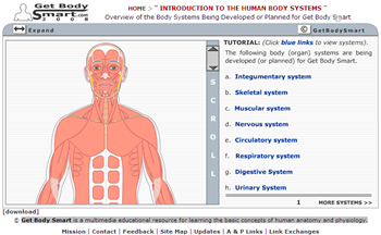 get body smart