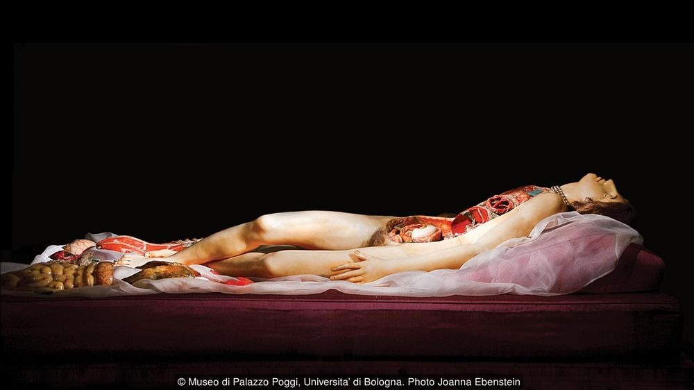 anatomical-venus-9