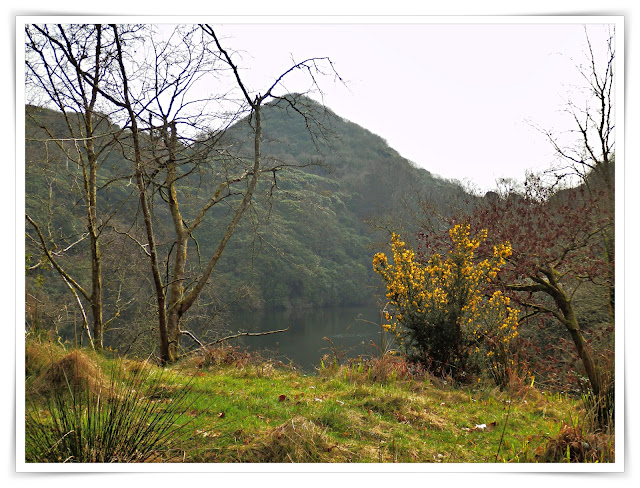 Walking in Cornwall