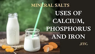calcium, phosphorus and iron