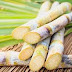 Benefits of sugar cane juice 